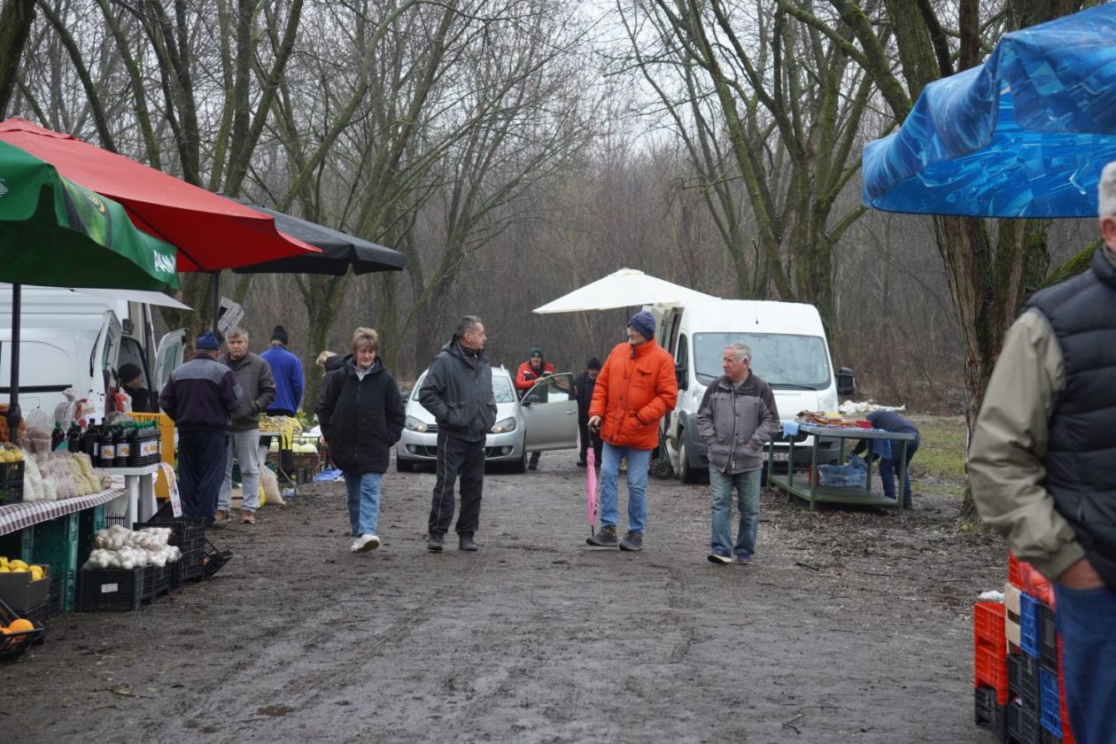 Sajam srijedom 4.2 (16)