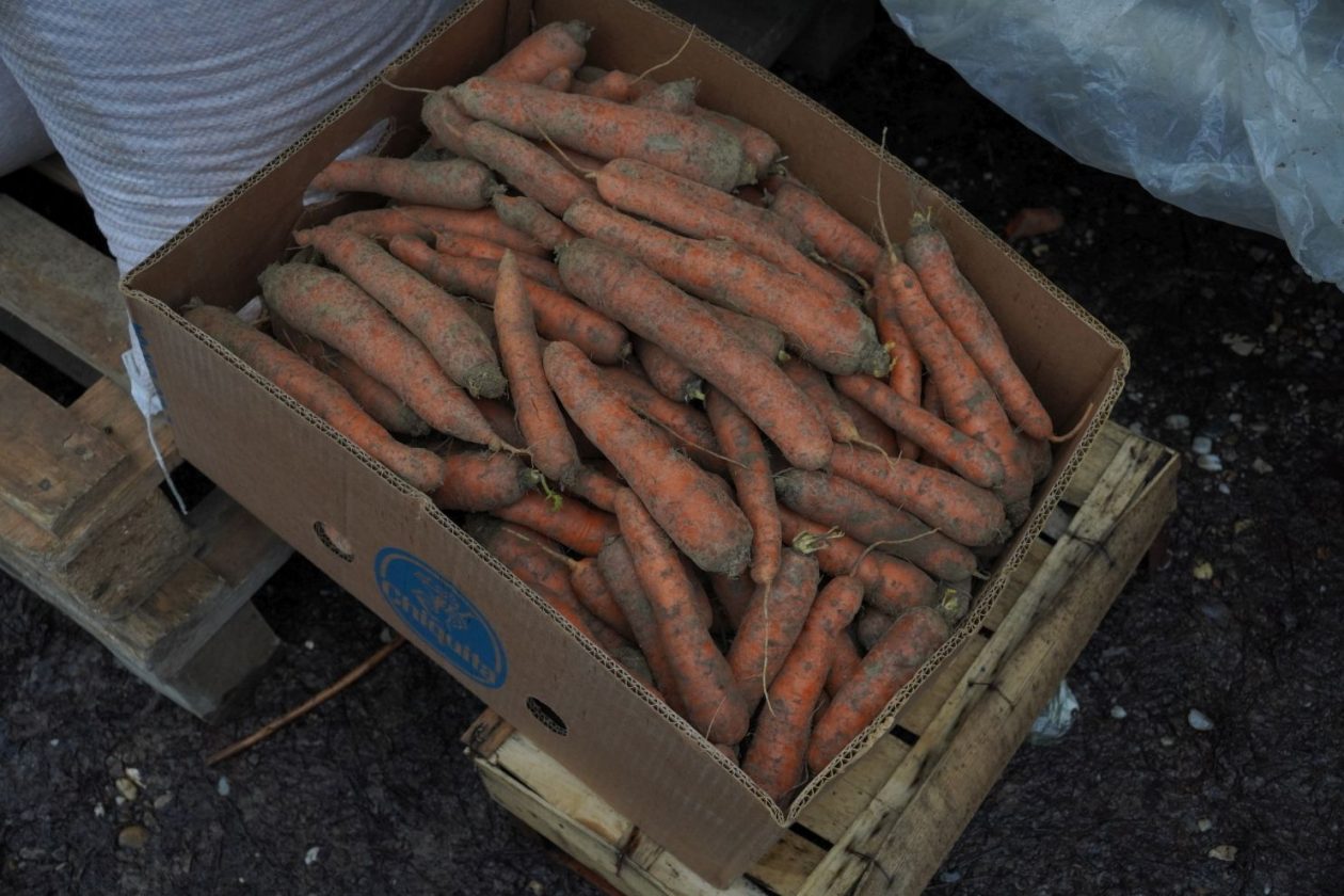 Sajam srijedom 4.2 (31)