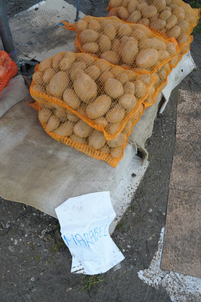 Sajam srijedom 4.2 (7)