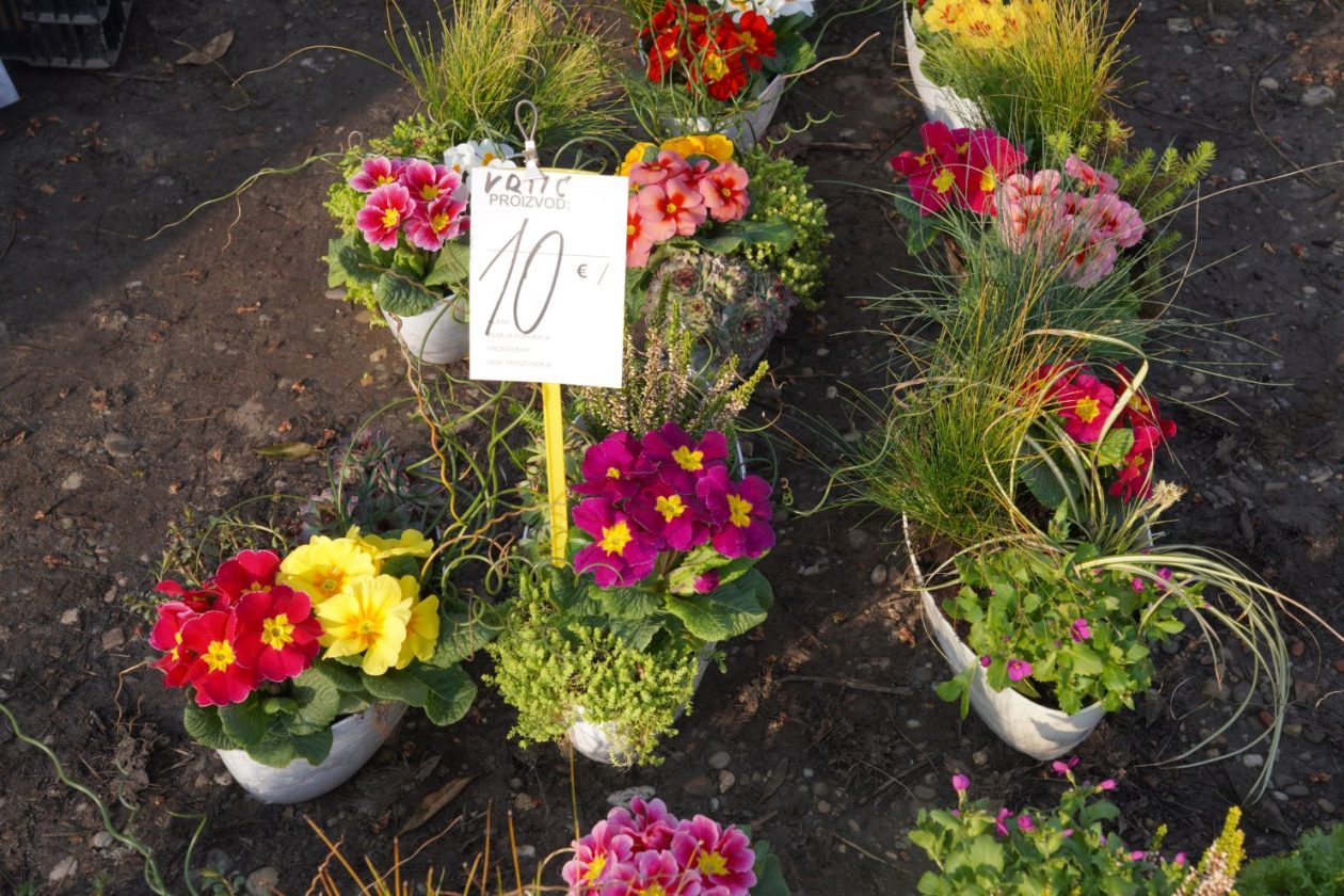 Sajam srijedom 4.3.2026 (19)