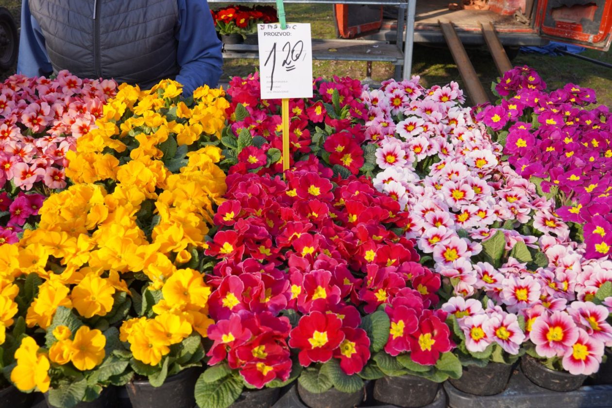 Sajam srijedom 4.3.2026 (20)