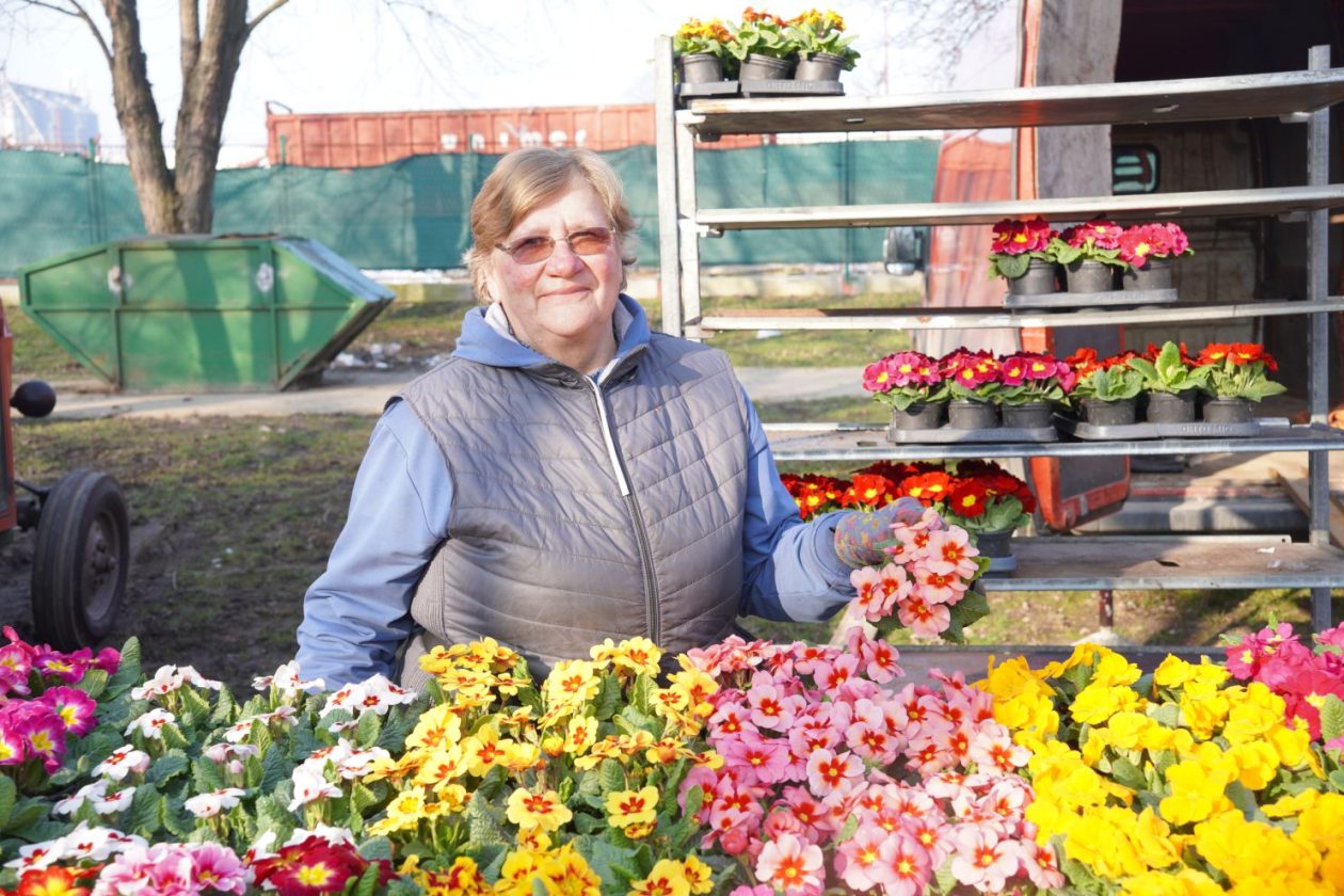 Sajam srijedom 4.3.2026 (21)