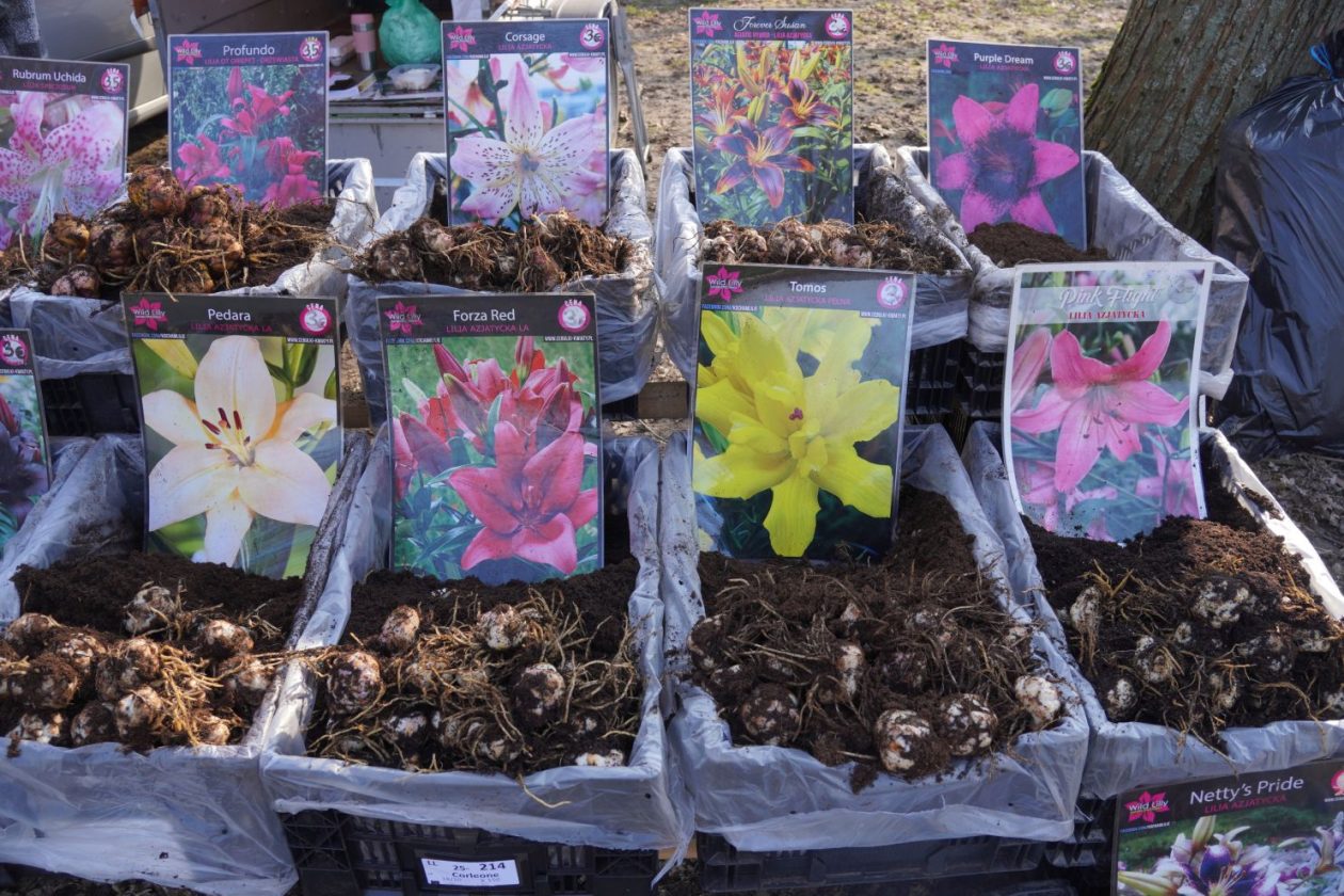 Sajam srijedom 4.3.2026 (28)