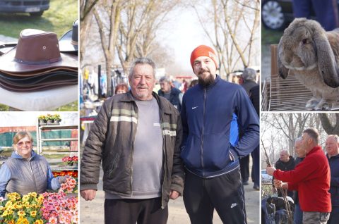 Sajam srijedom 4.3.2026.