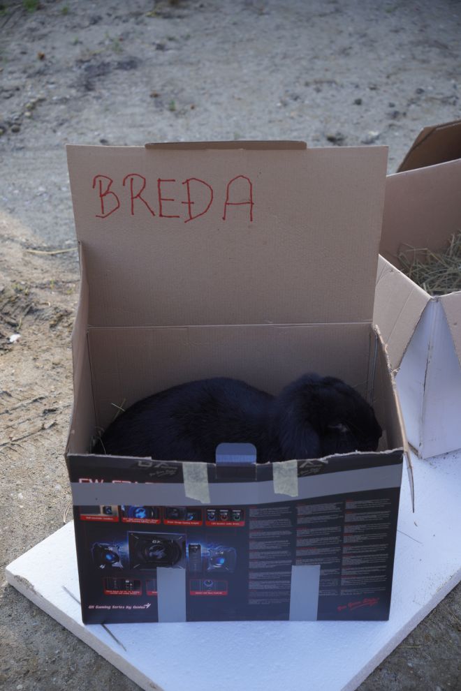 Sajam srijedom 4.3.2026 (51)