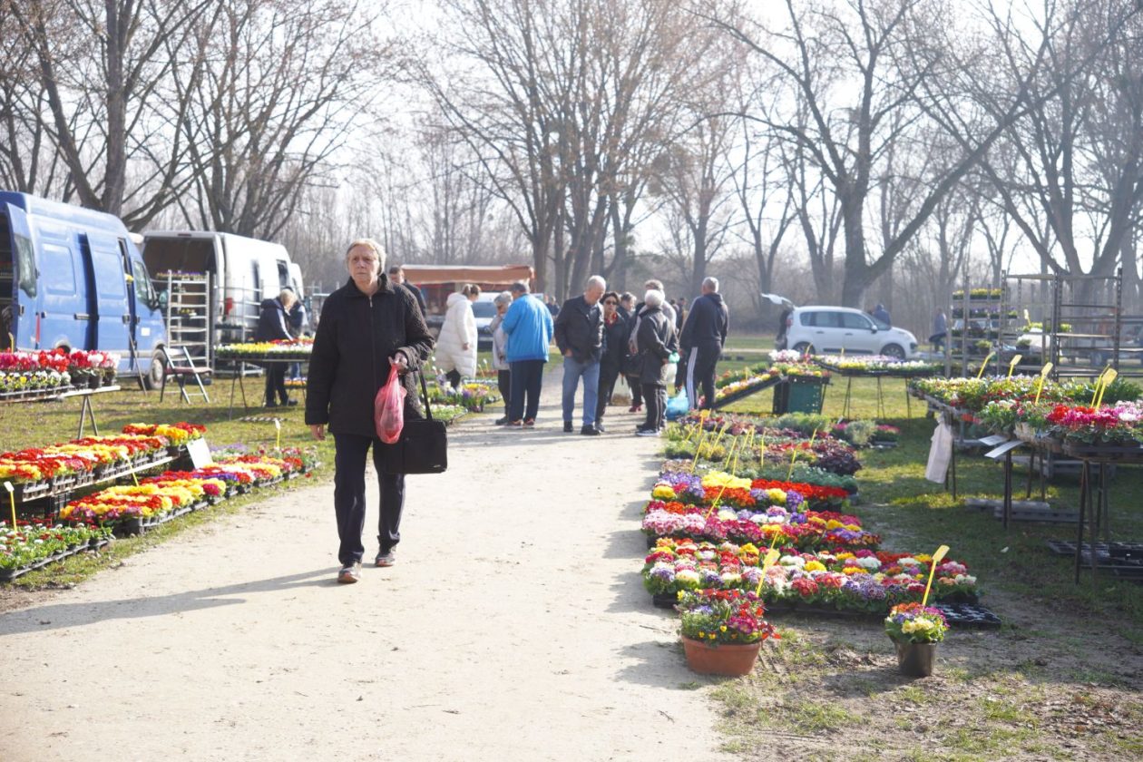 Sajam srijedom 4.3.2026 (61)