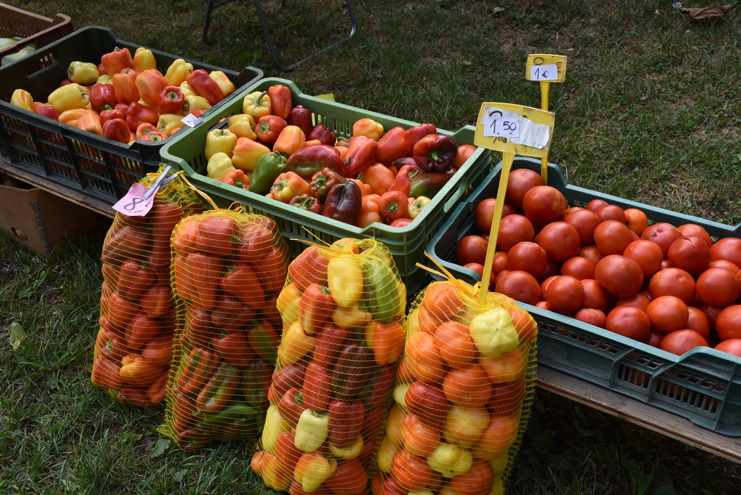 Sajam srijedom (43) Sajam srijedom (43)