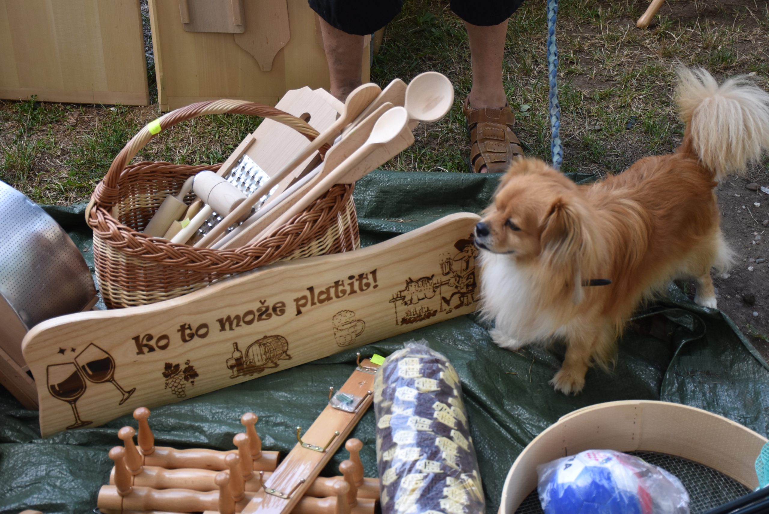 Sajam srijedom (49) Sajam srijedom (49)