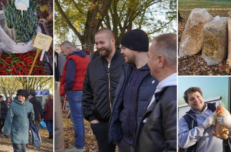 Sajam srijedom 5.11.2025.