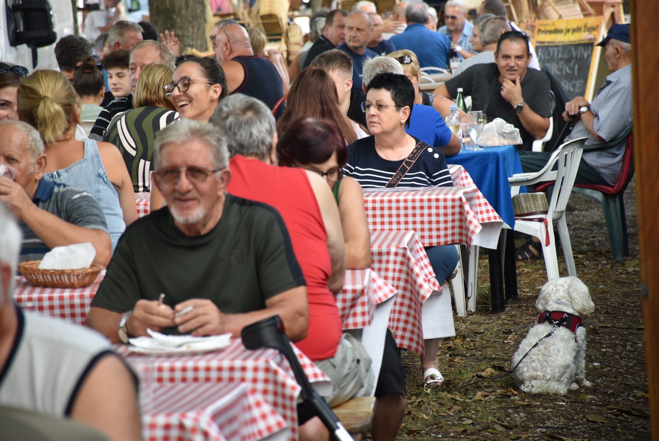 Sajam srijedom (58) Sajam srijedom (58)