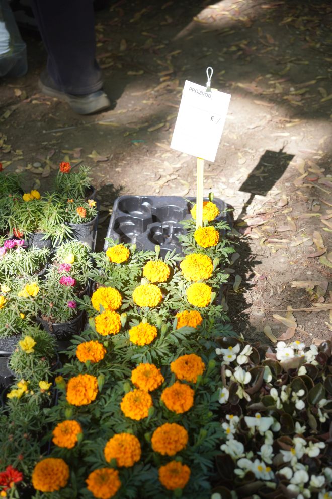 Sajam srijedom 6.5.2026 (39)
