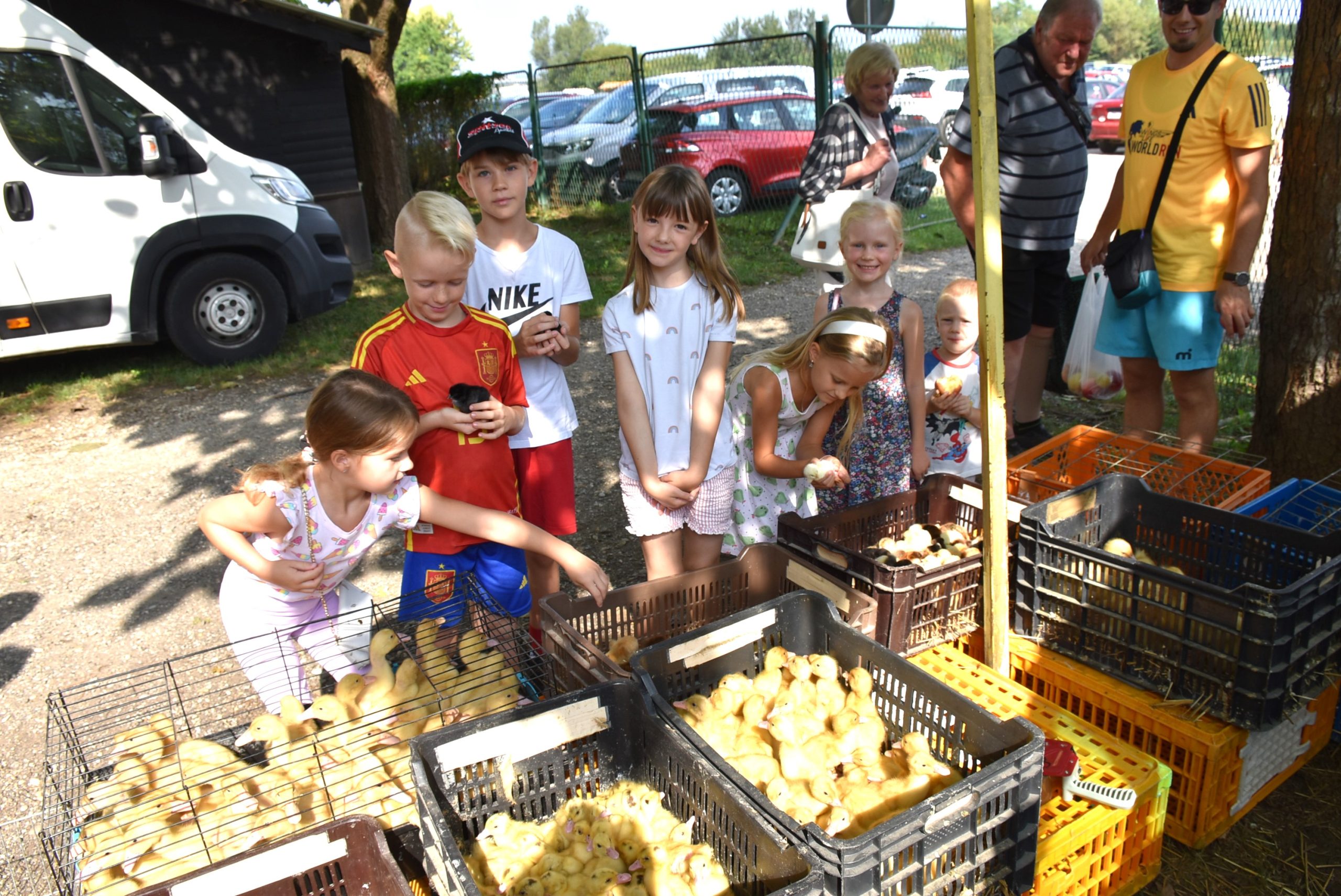 Sajam srijedom (63) Sajam srijedom (63)