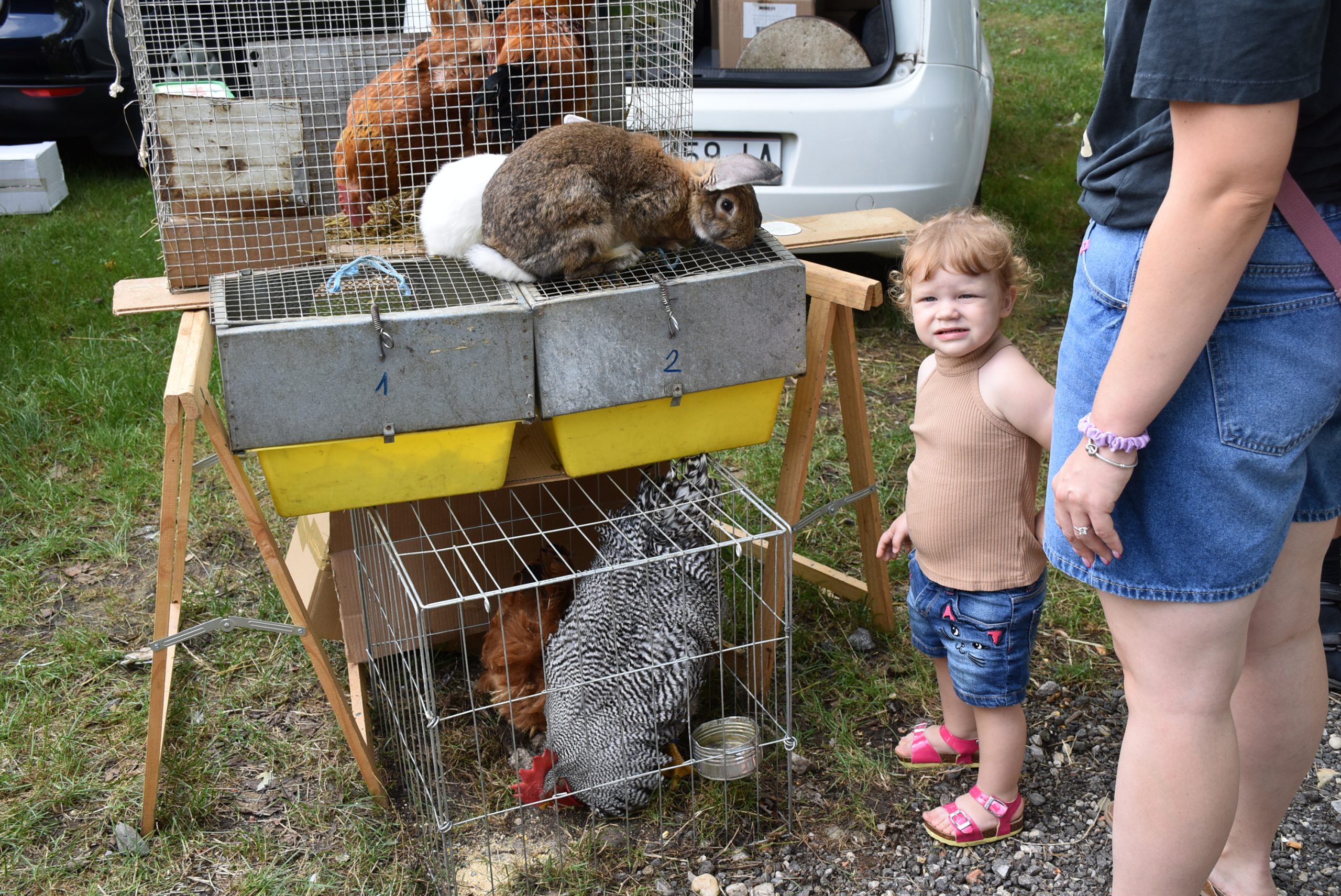 Sajam srijedom (67) Sajam srijedom (67)