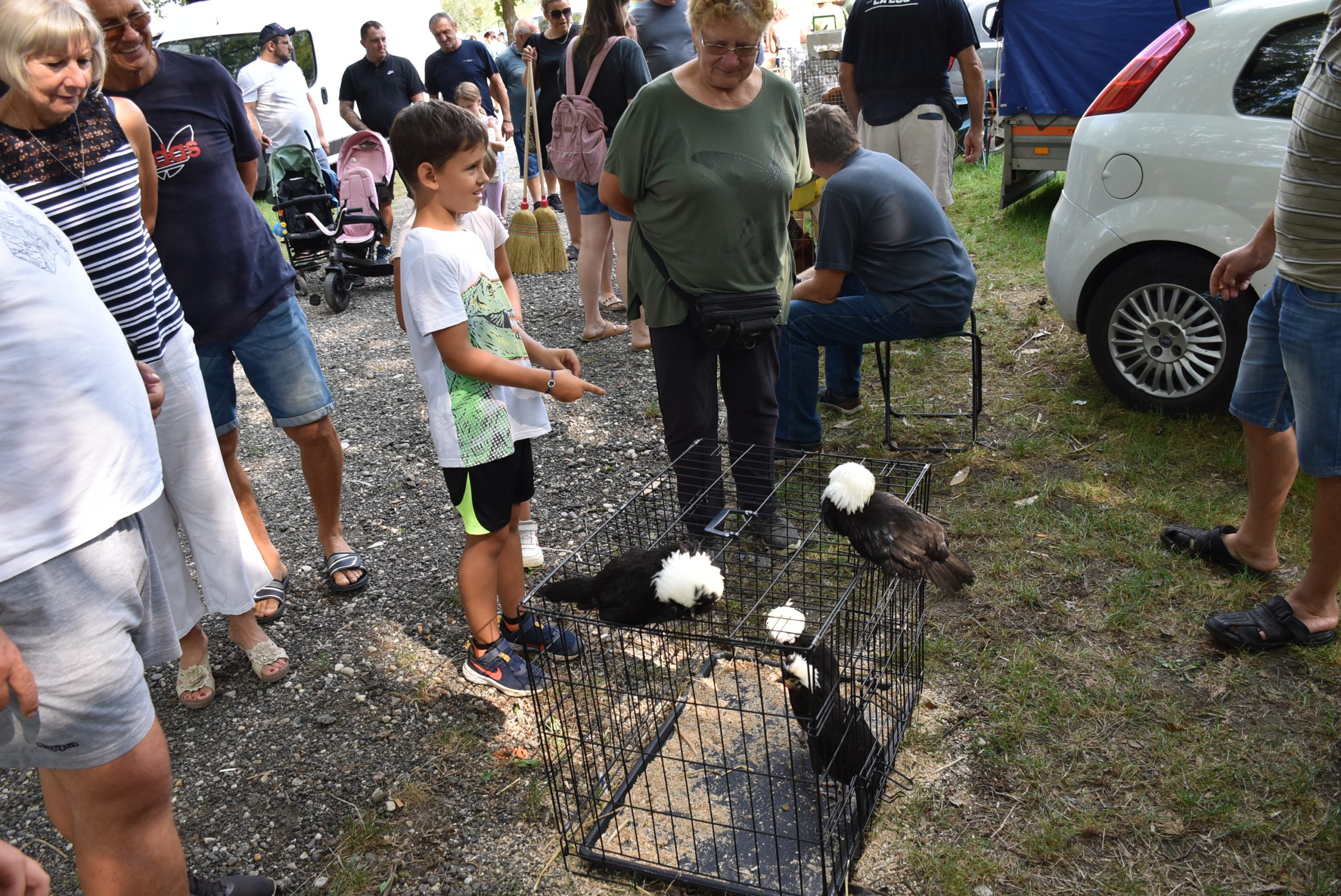 Sajam srijedom (68) Sajam srijedom (68)