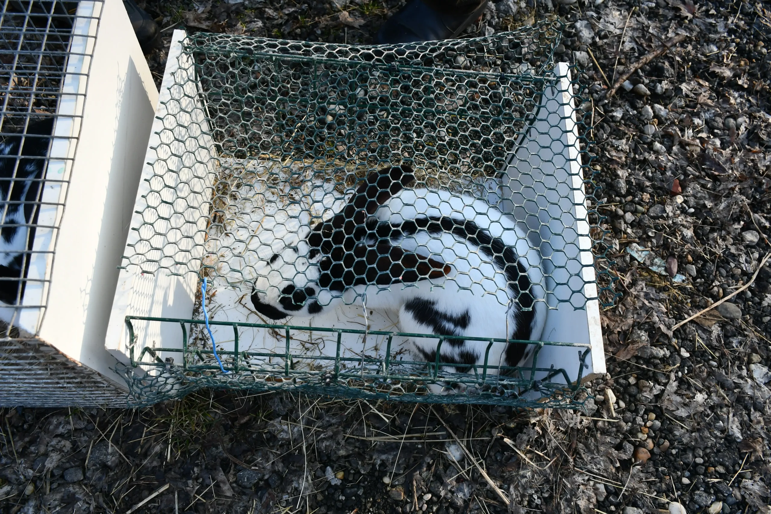 Sajam srijedom 7.2. (2)