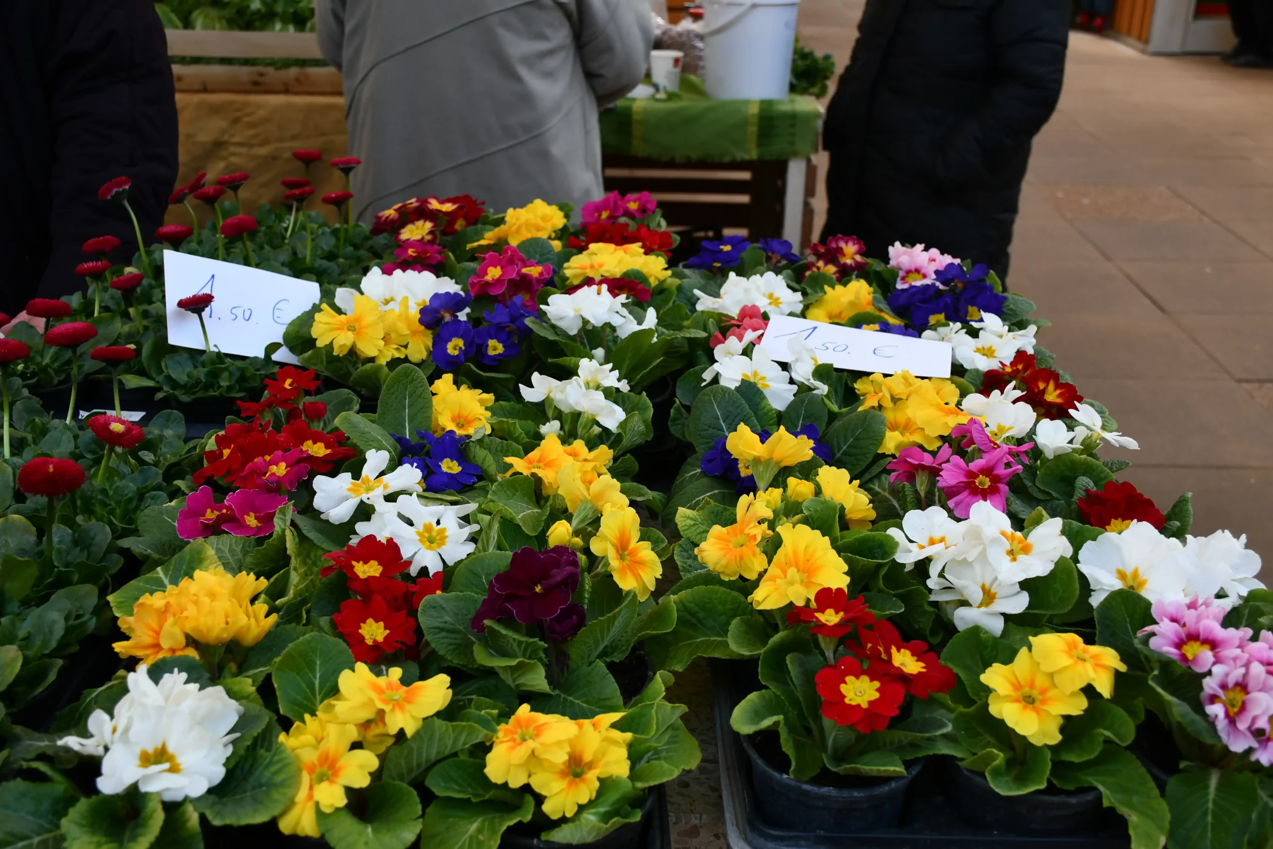 Sajam srijedom 7.2. (33)