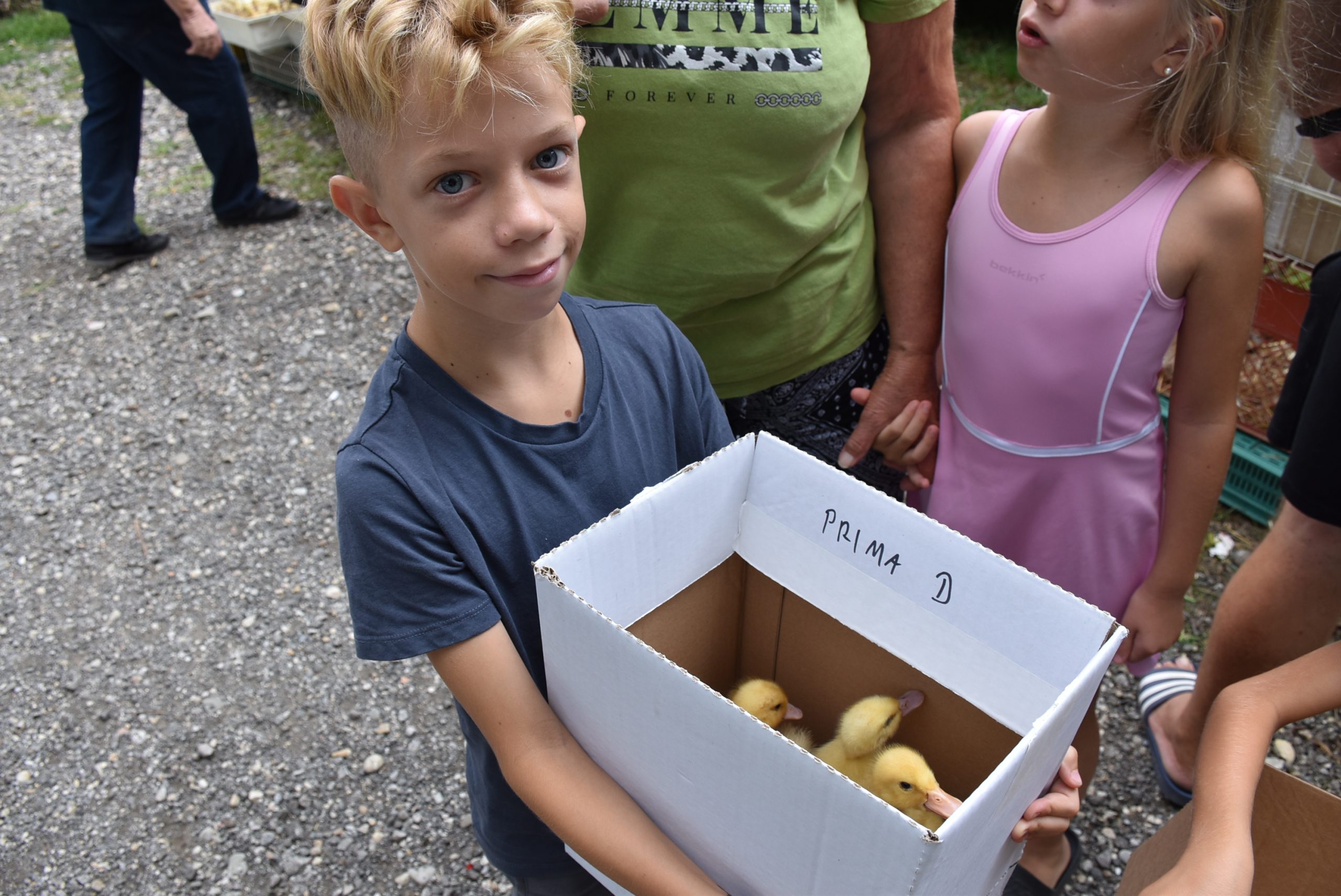 Sajam srijedom (70) Sajam srijedom (70)