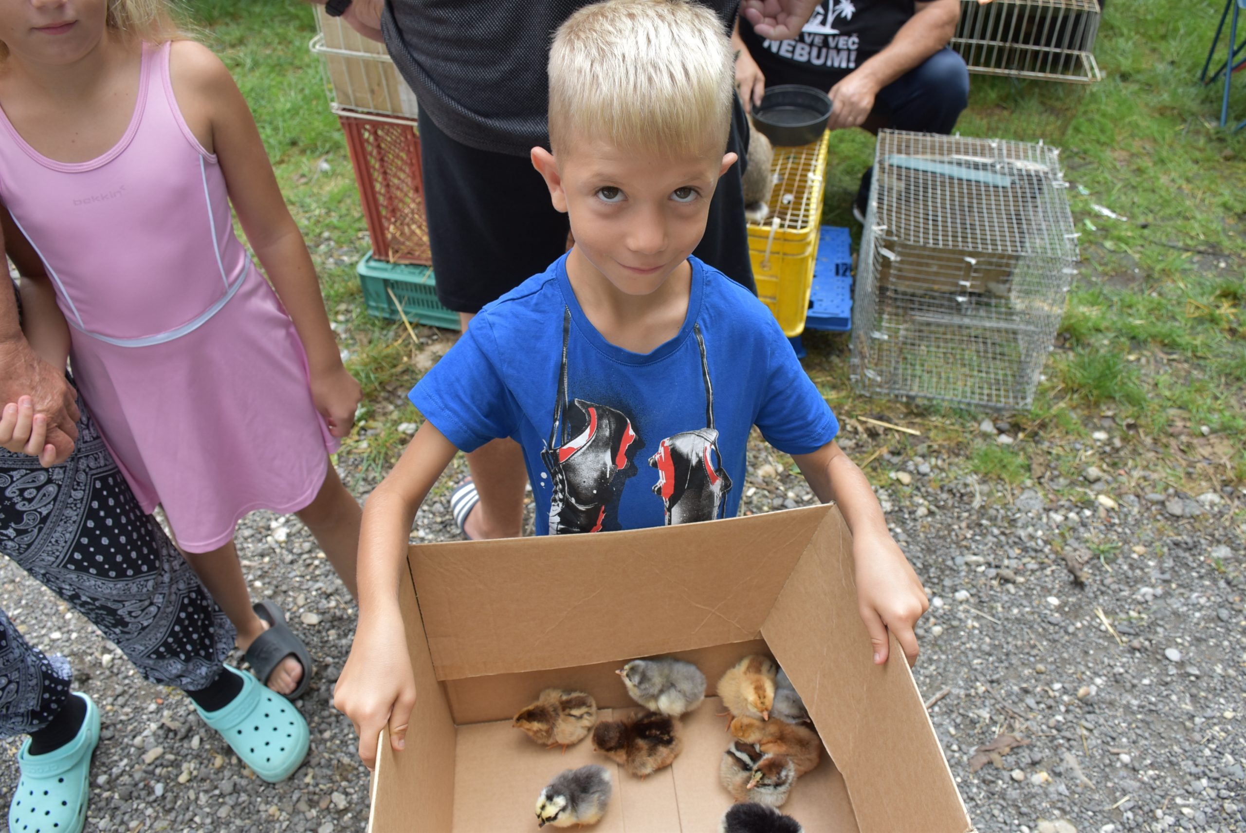 Sajam srijedom (71) Sajam srijedom (71)