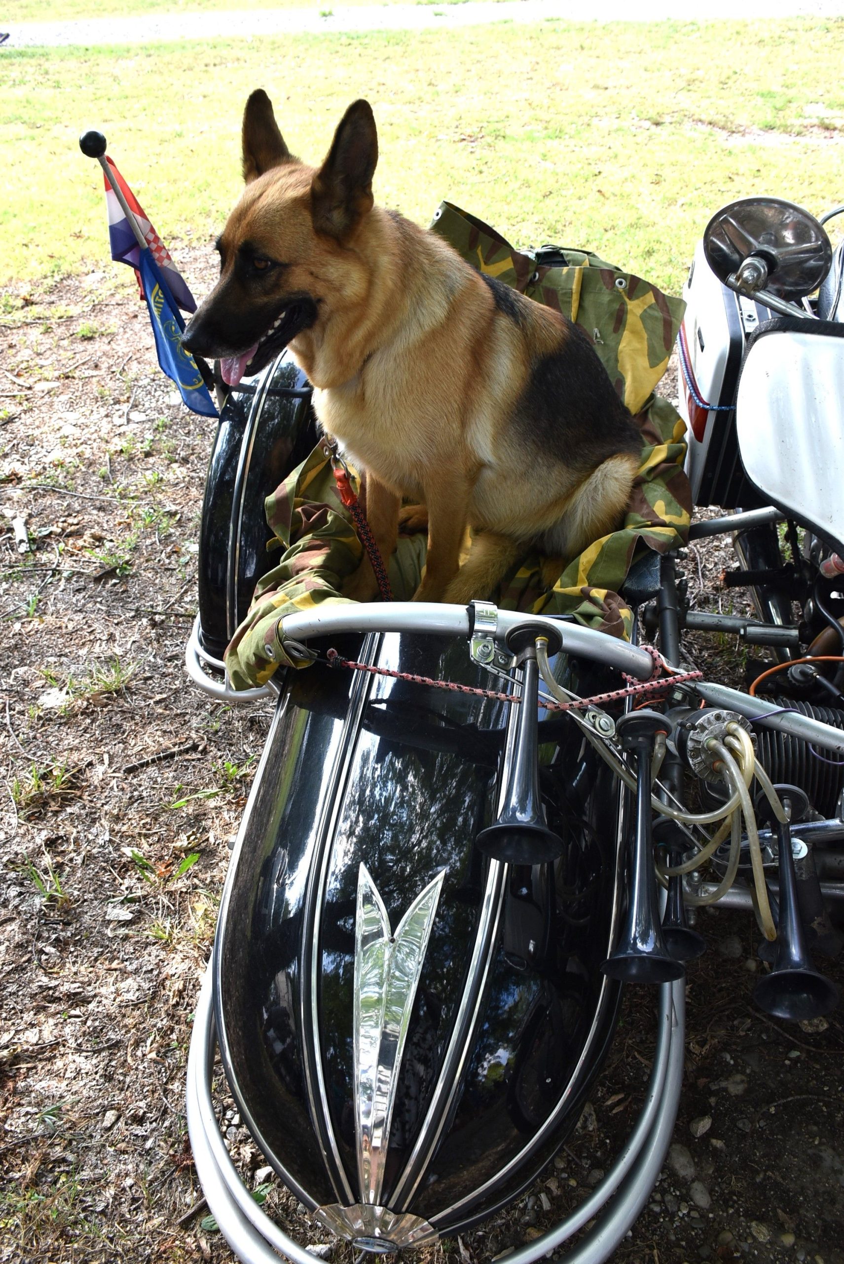 Sajam srijedom (74) Sajam srijedom (74)