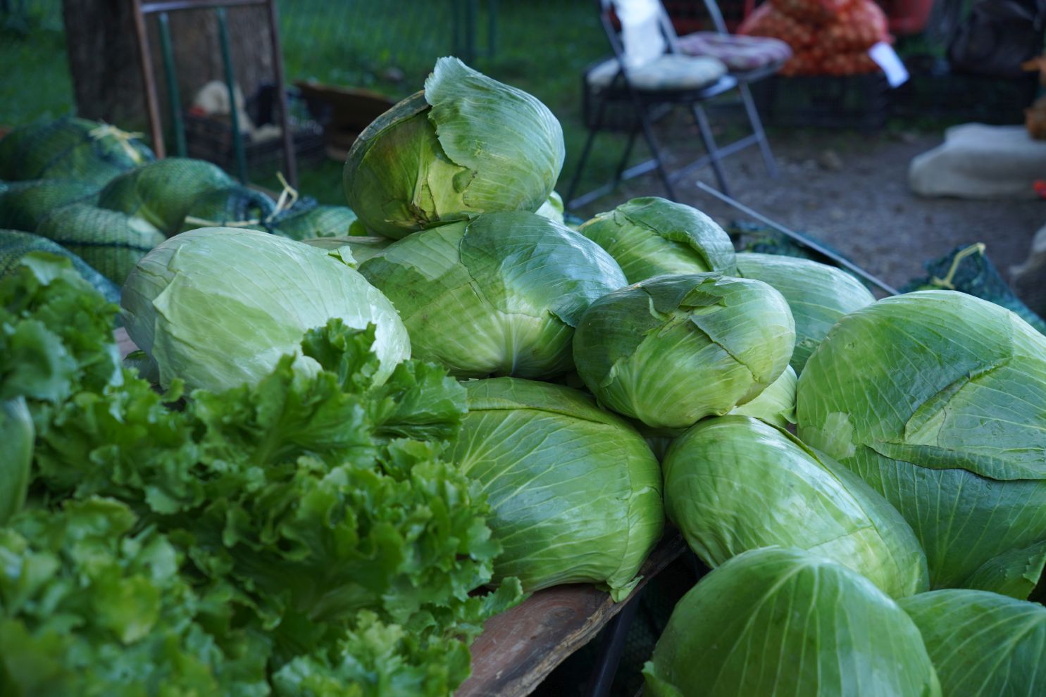 Sajam srijedom 8. 10. 2025 (10)