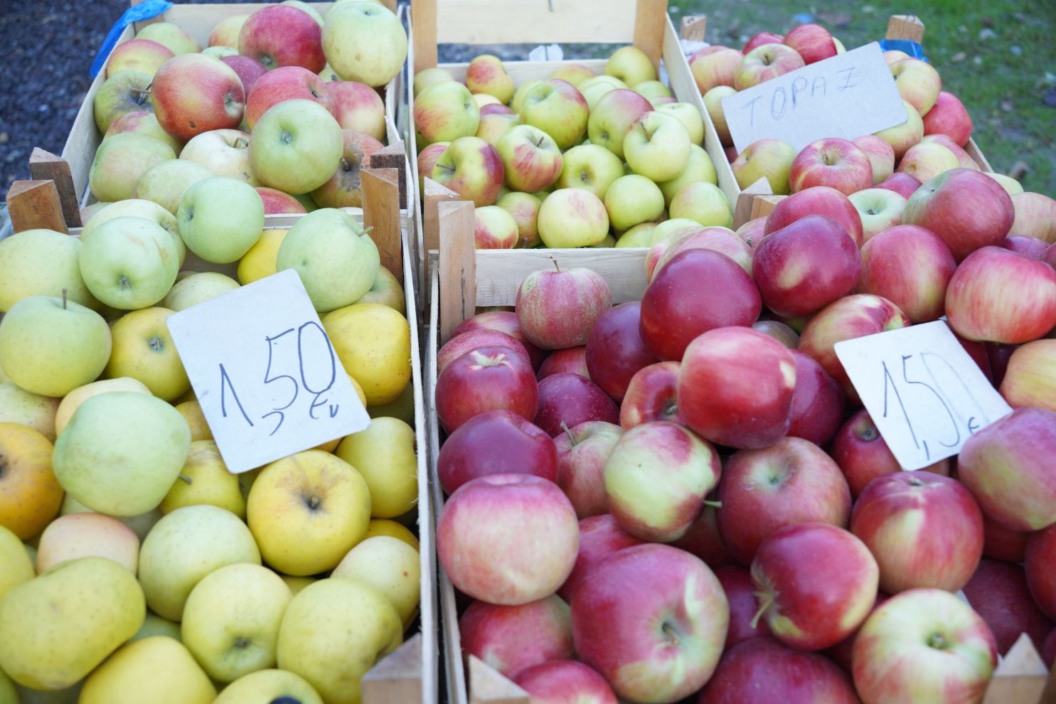 Sajam srijedom 8. 10. 2025 (12)