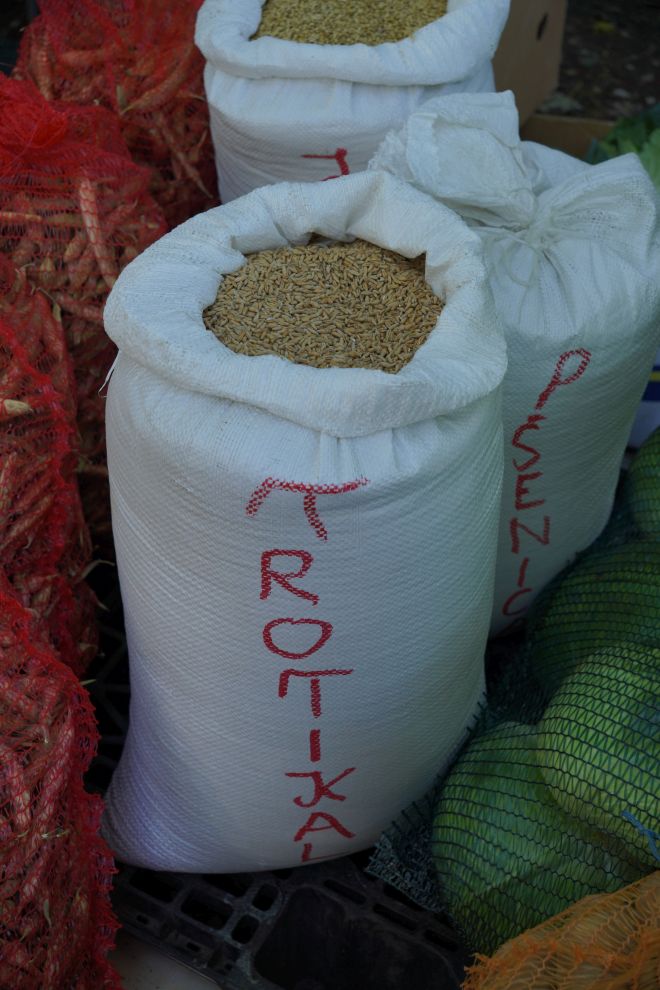 Sajam srijedom 8. 10. 2025 (22)