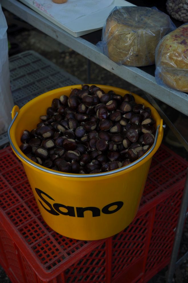 Sajam srijedom 8. 10. 2025 (23)