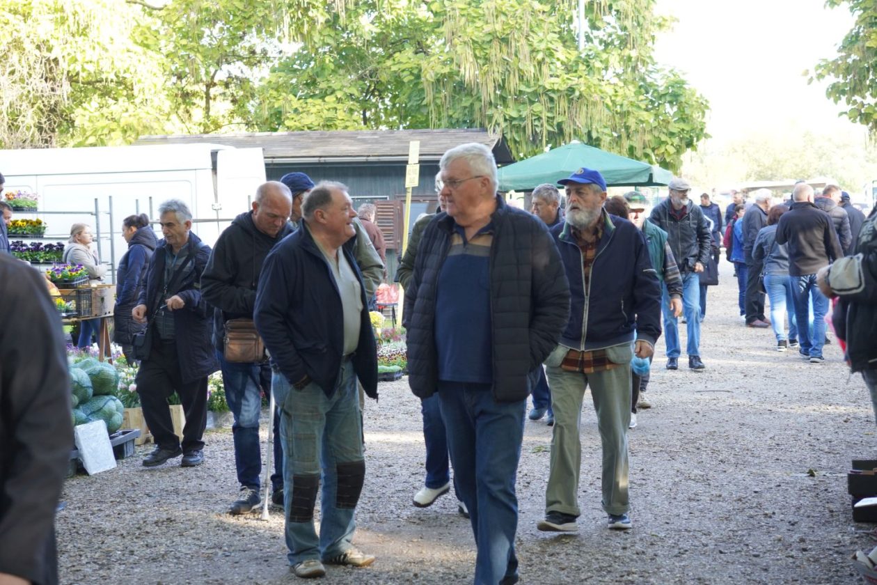 Sajam srijedom 8. 10. 2025 (40) Sajam srijedom 8. 10. 2025 (40)