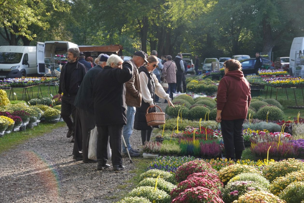 Sajam srijedom 8. 10. 2025 (44) Sajam srijedom 8. 10. 2025 (44)