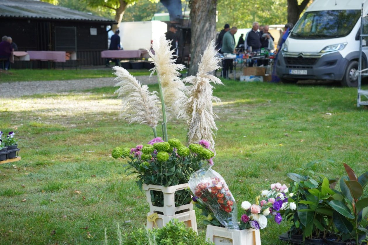 Sajam srijedom 8. 10. 2025 (48) Sajam srijedom 8. 10. 2025 (48)