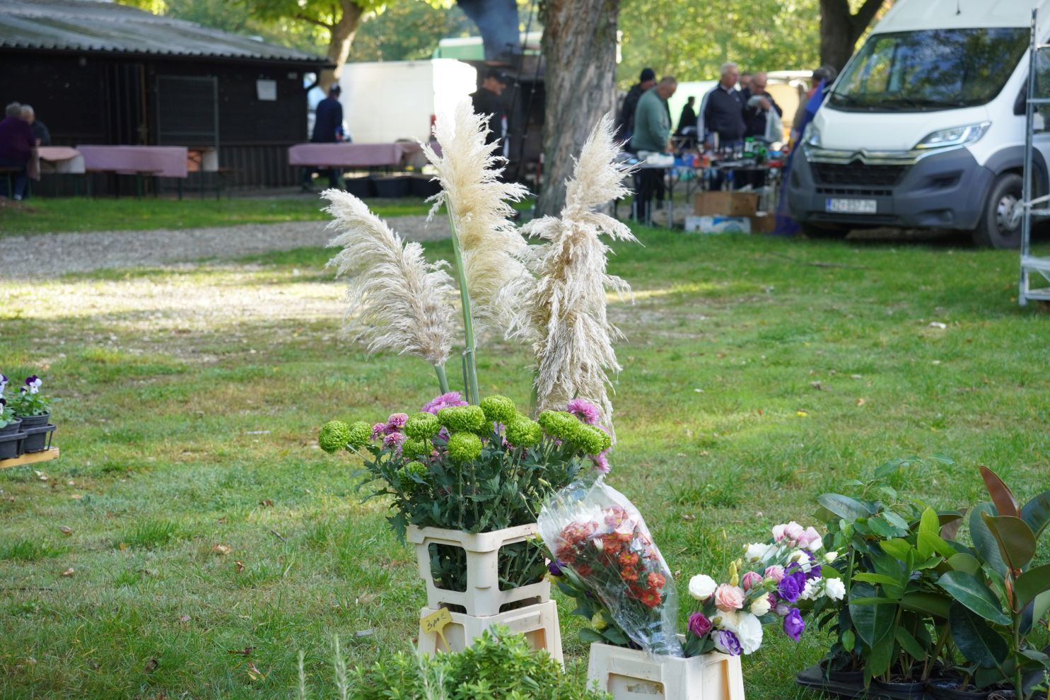 Sajam srijedom 8. 10. 2025 (48)