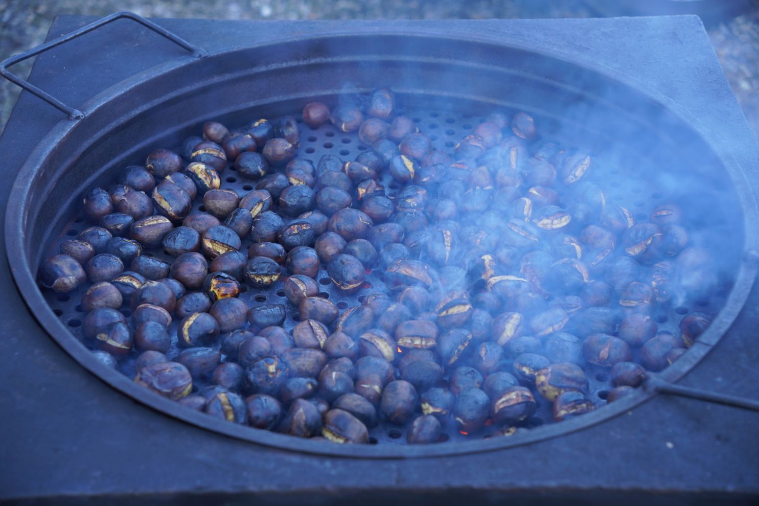 Sajam srijedom 8. 10. 2025 (5)