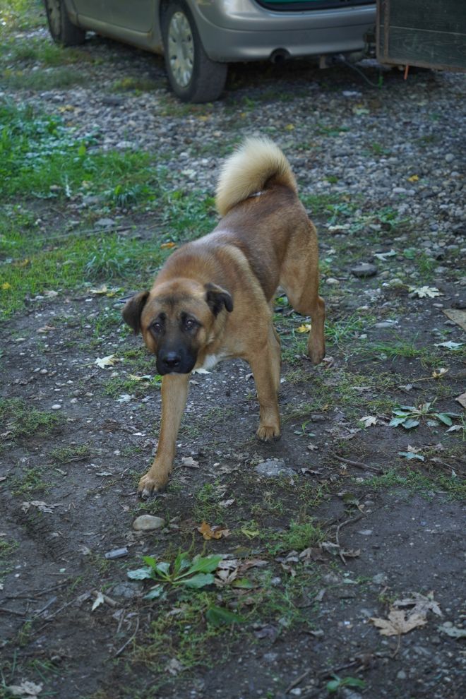 Sajam srijedom 8. 10. 2025 (52)