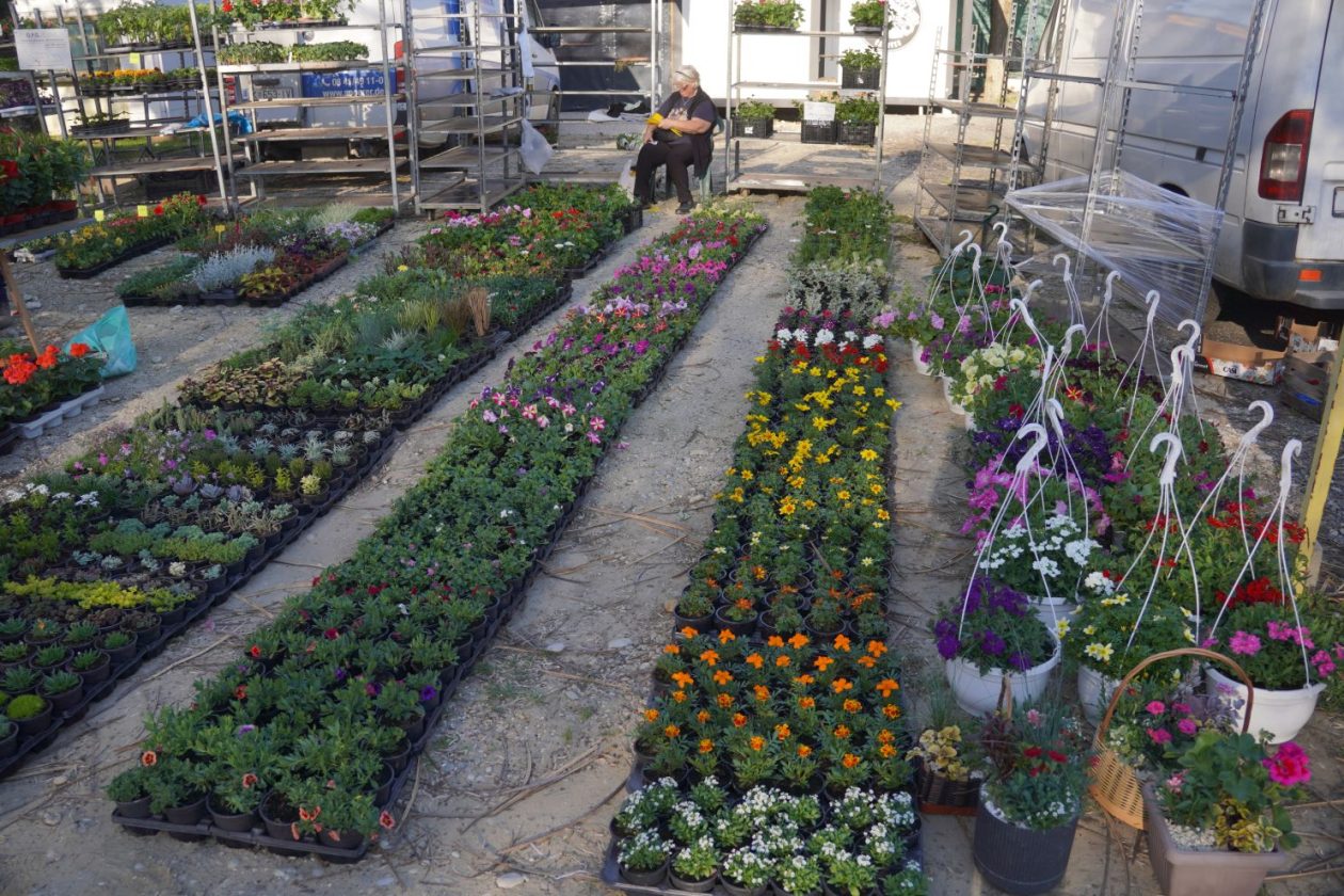 Sajam srijedom 8.4.2026 (10) Sajam srijedom 8.4.2026 (10)