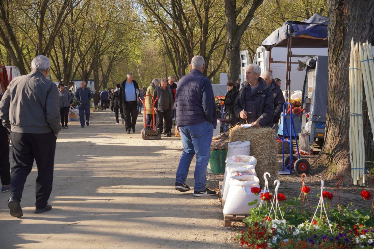 Sajam srijedom 8.4.2026 (12) Sajam srijedom 8.4.2026 (12)