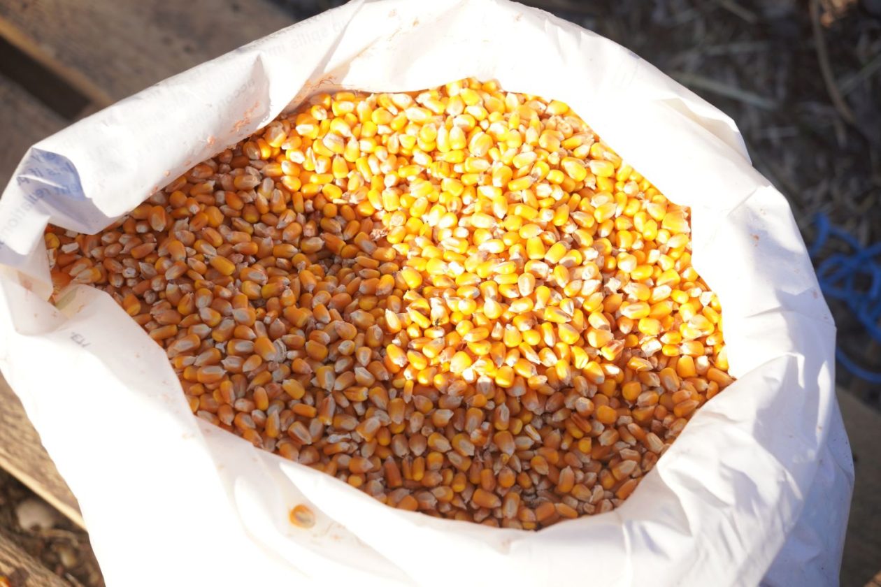 Sajam srijedom 8.4.2026 (13) Sajam srijedom 8.4.2026 (13)