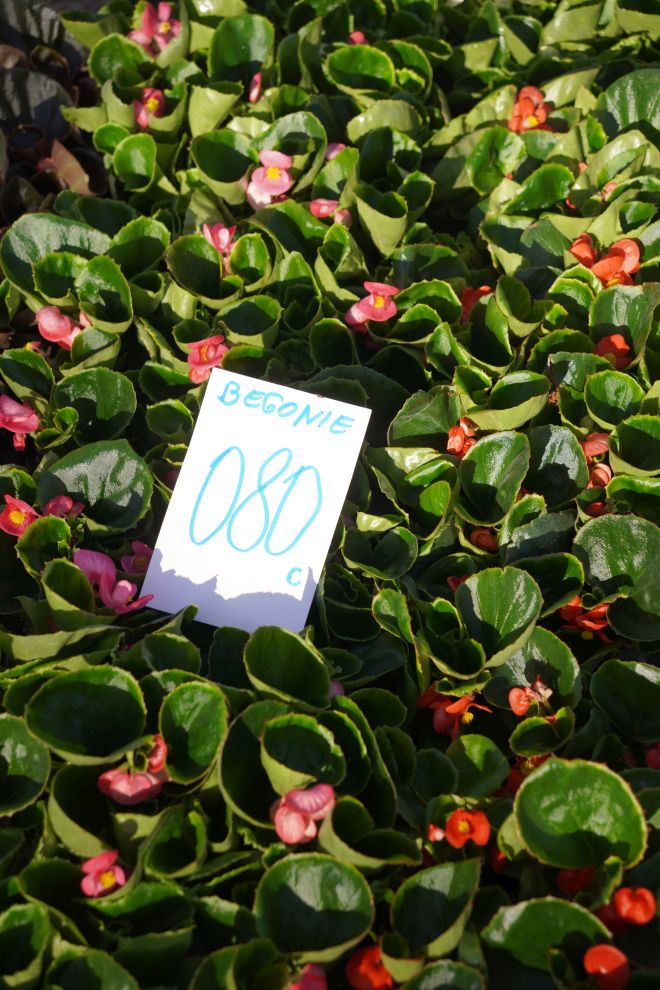 Sajam srijedom 8.4.2026 (19) Sajam srijedom 8.4.2026 (19)