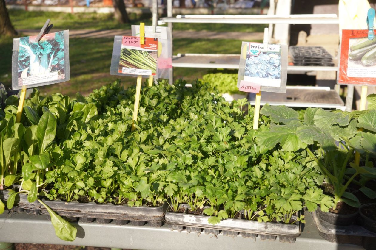 Sajam srijedom 8.4.2026 (21) Sajam srijedom 8.4.2026 (21)