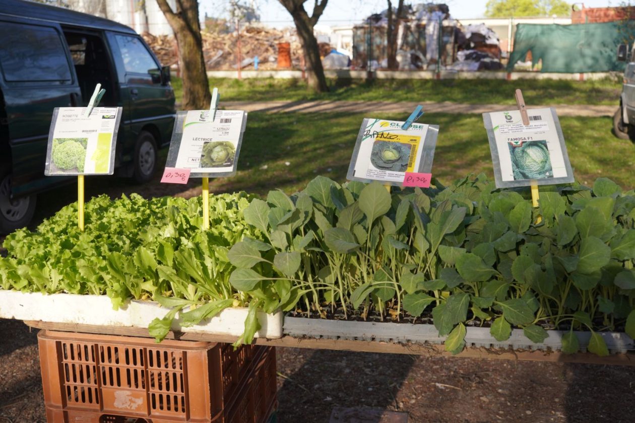 Sajam srijedom 8.4.2026 (22) Sajam srijedom 8.4.2026 (22)