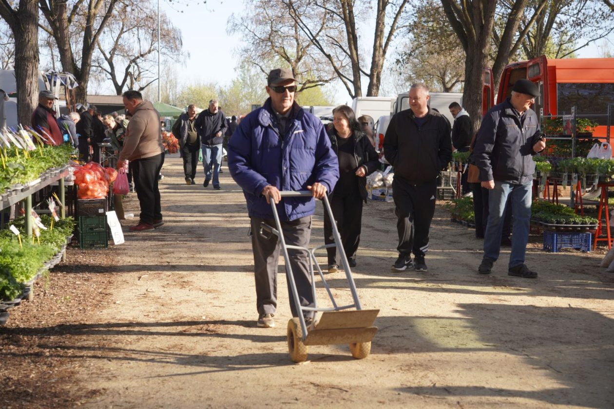 Sajam srijedom 8.4.2026 (24) Sajam srijedom 8.4.2026 (24)