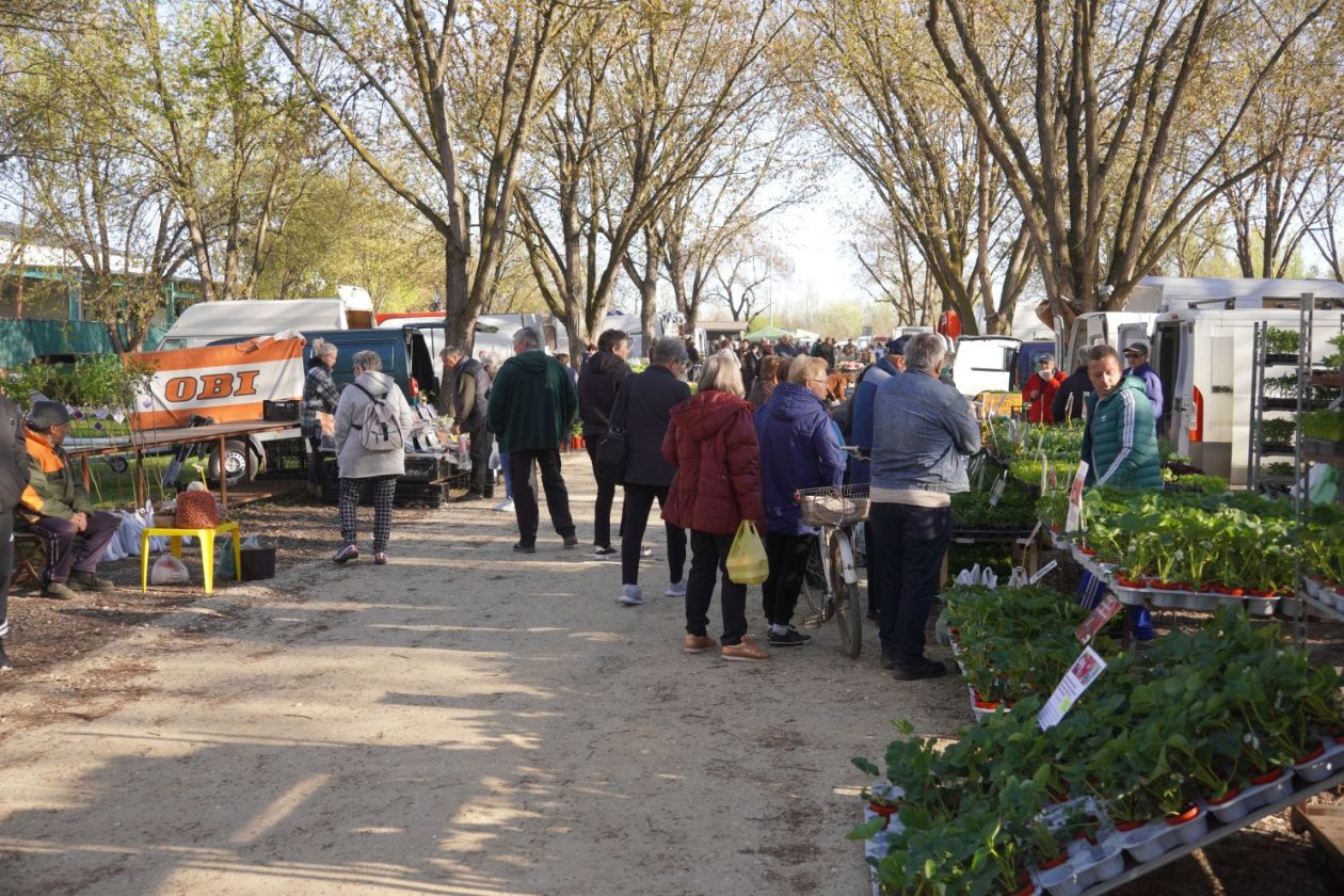 Sajam srijedom 8.4.2026 (30) Sajam srijedom 8.4.2026 (30)