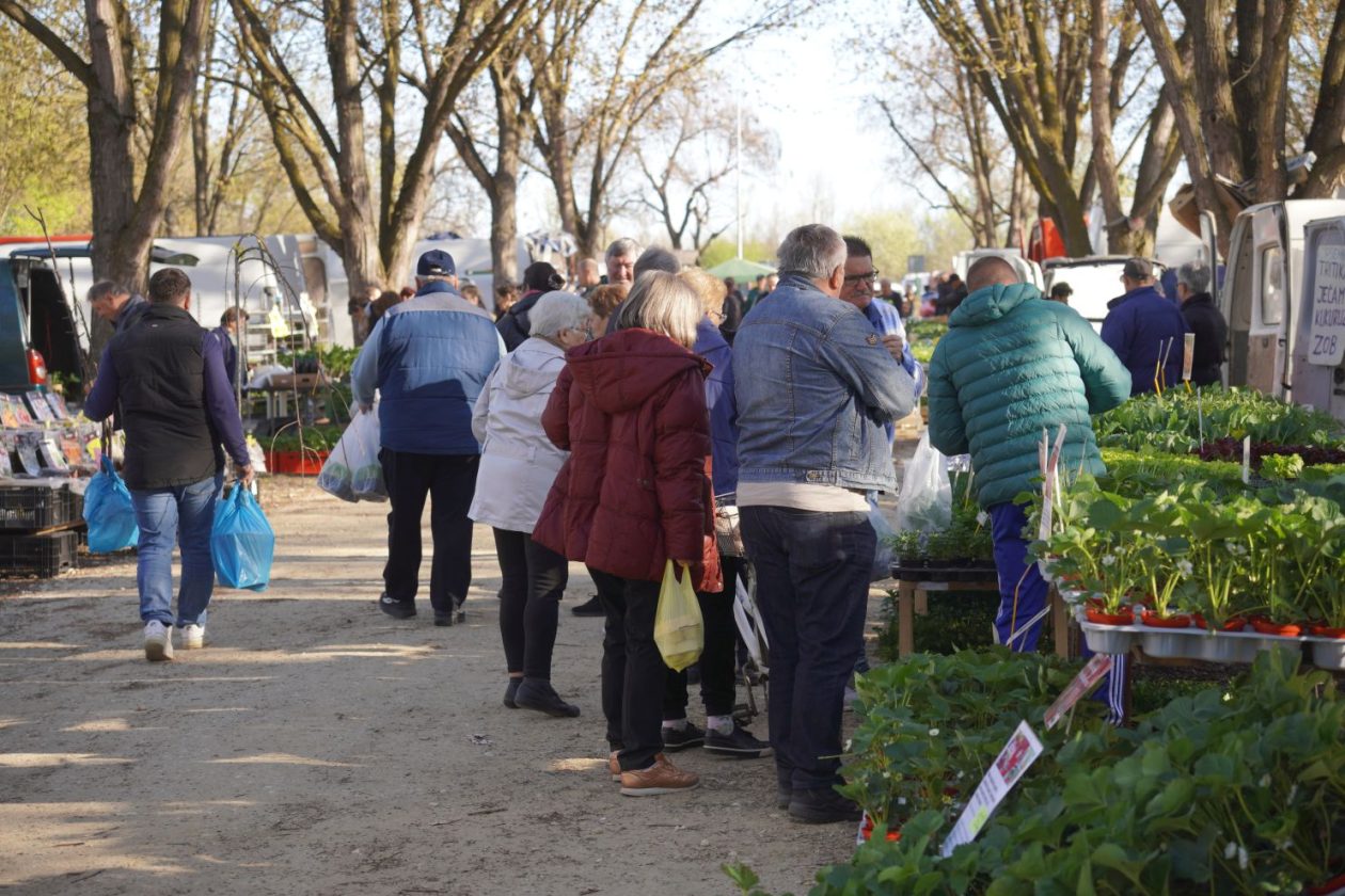 Sajam srijedom 8.4.2026 (32) Sajam srijedom 8.4.2026 (32)