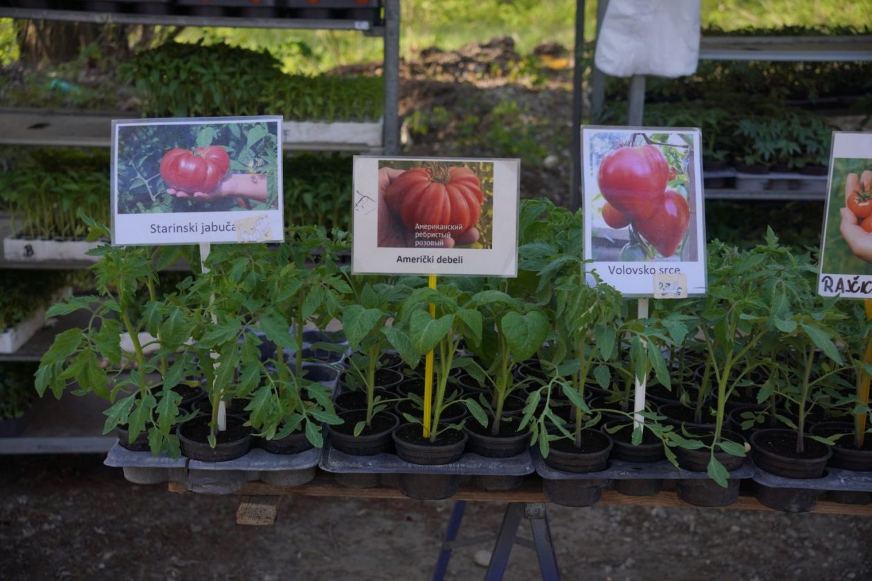 Sajam srijedom 8.4.2026 (33) Sajam srijedom 8.4.2026 (33)