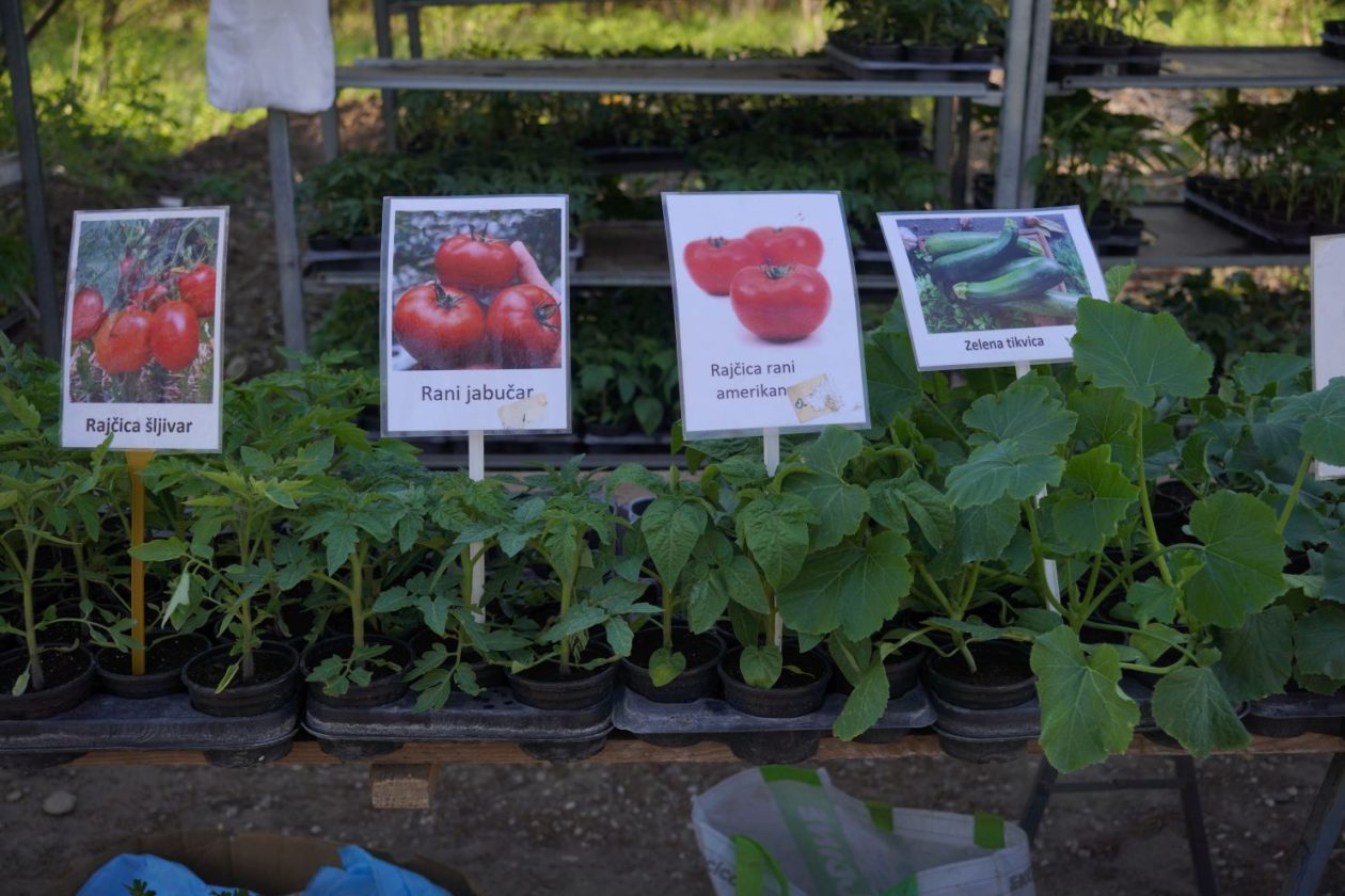 Sajam srijedom 8.4.2026 (34) Sajam srijedom 8.4.2026 (34)