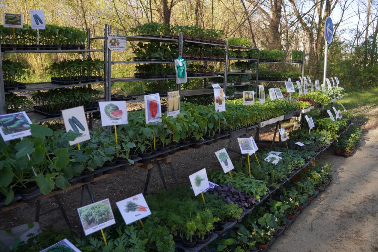 Sajam srijedom 8.4.2026 (35) Sajam srijedom 8.4.2026 (35)