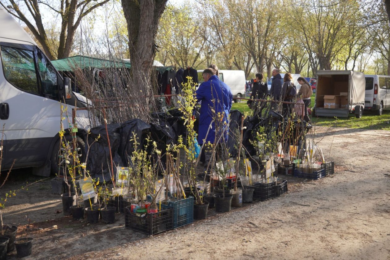 Sajam srijedom 8.4.2026 (38) Sajam srijedom 8.4.2026 (38)