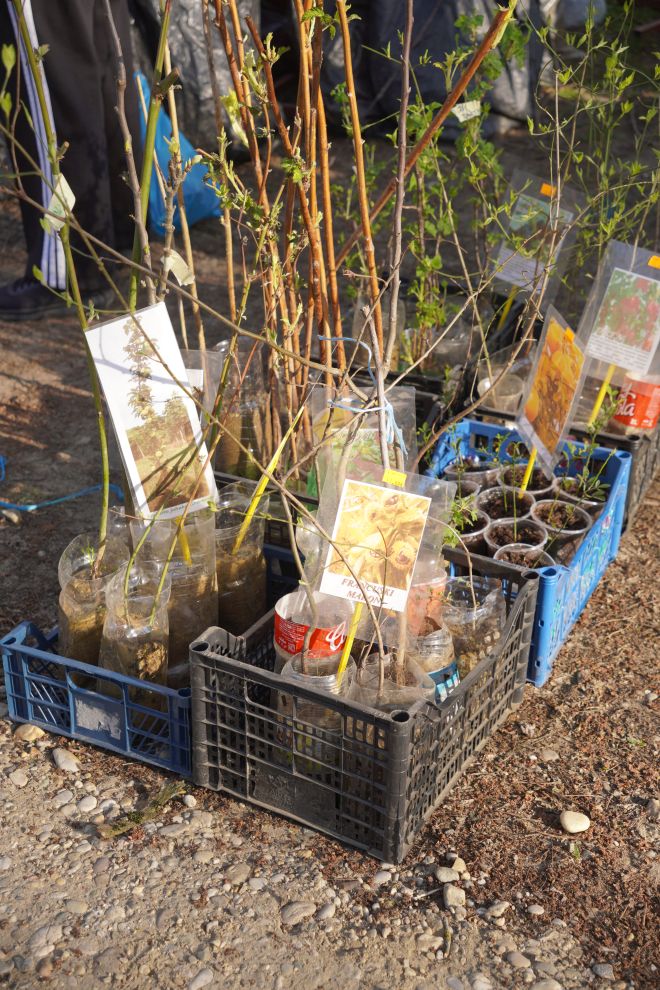 Sajam srijedom 8.4.2026 (39) Sajam srijedom 8.4.2026 (39)