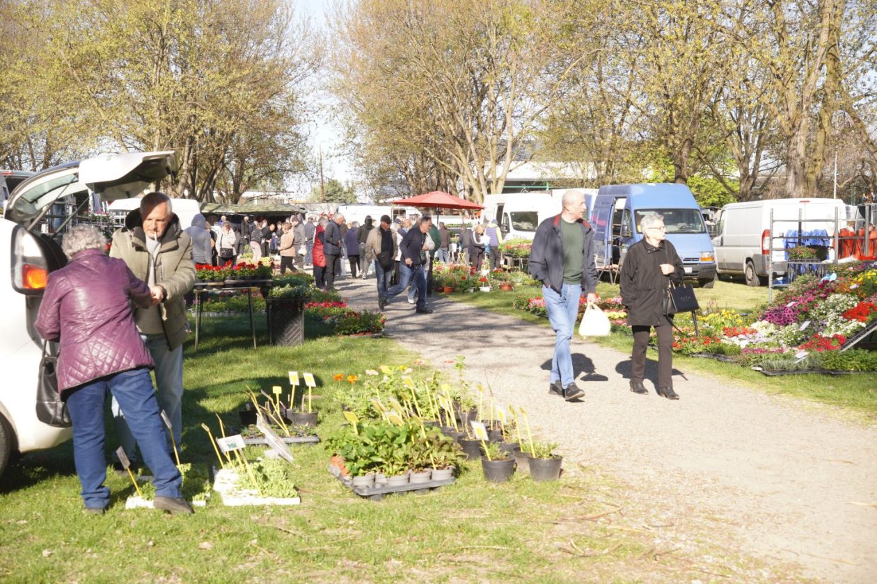 Sajam srijedom 8.4.2026 (56) Sajam srijedom 8.4.2026 (56)