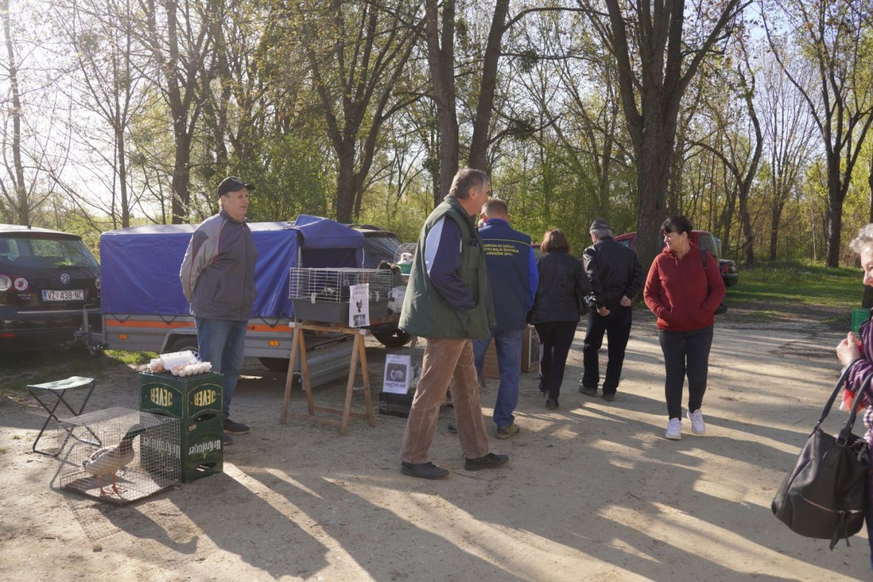 Sajam srijedom 8.4.2026 (58) Sajam srijedom 8.4.2026 (58)