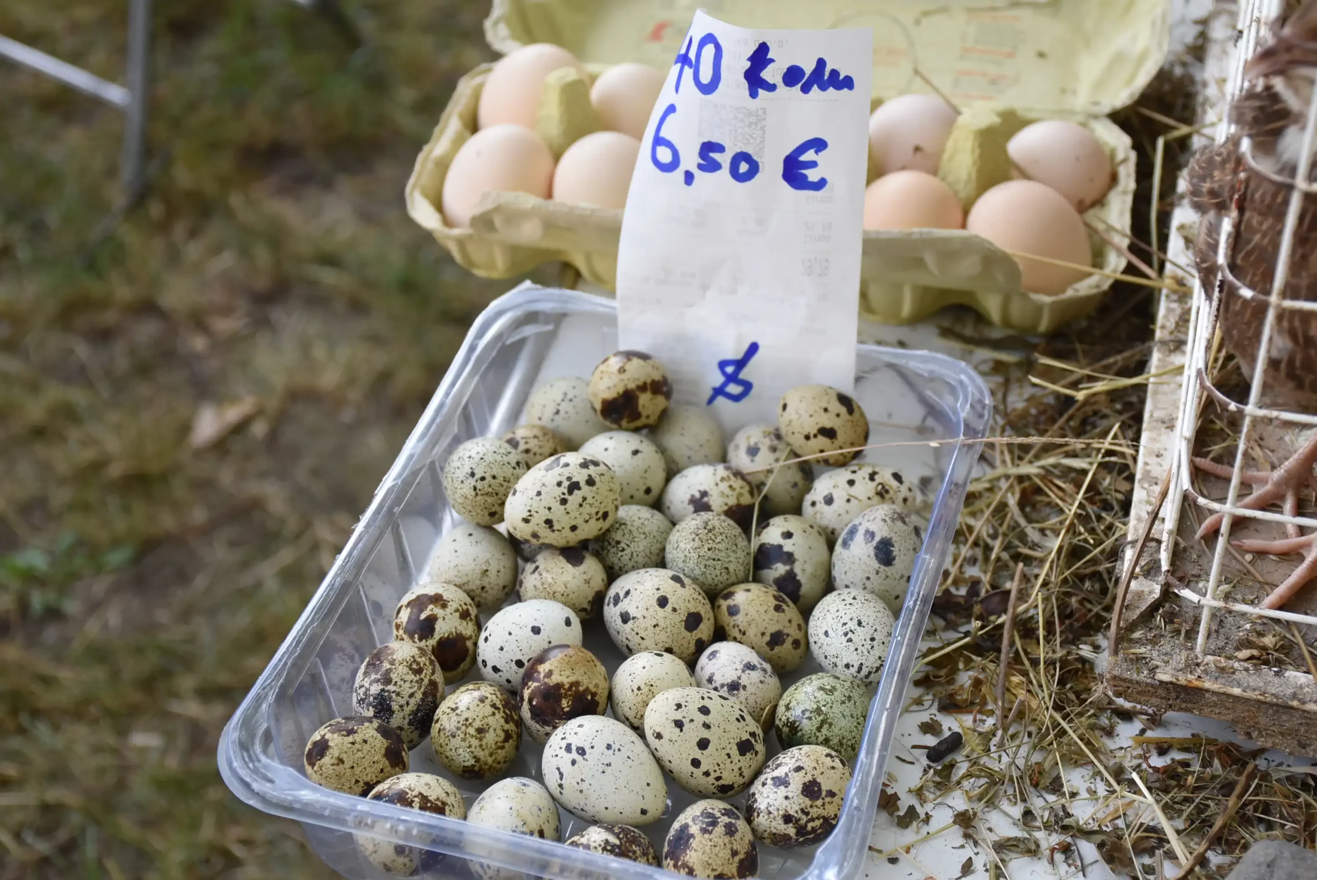Sajam u Čakovcu srijedom (61)